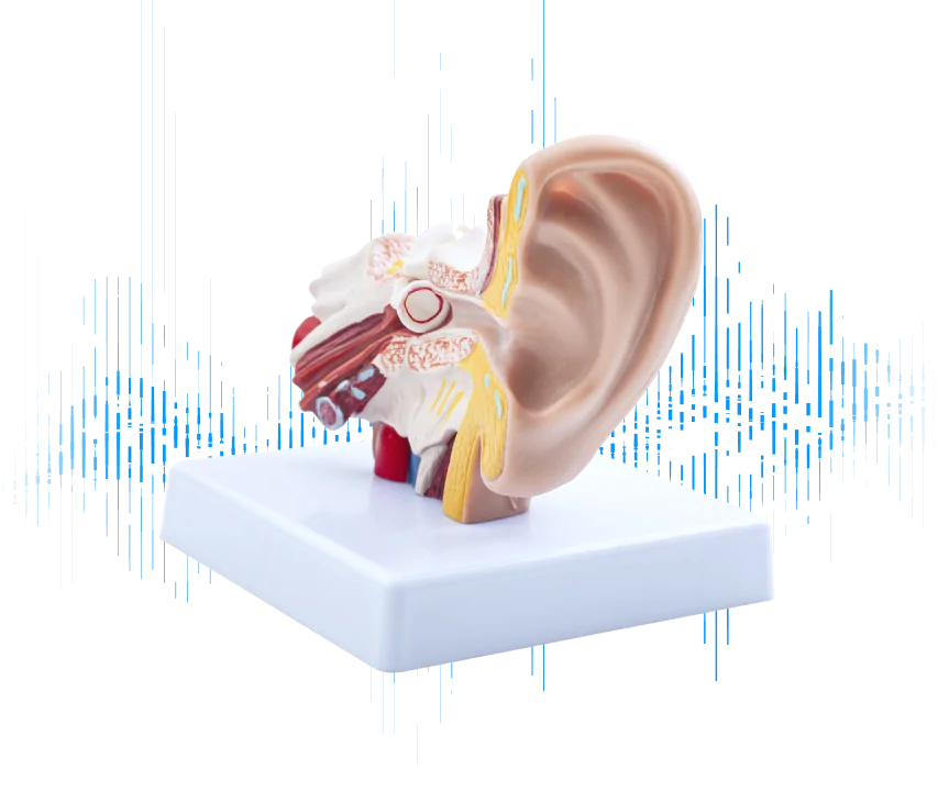 Tinnitus Symptome