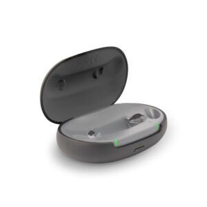 Audio Service Travel Charger IF CIC